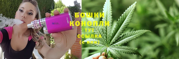МДПВ Липки