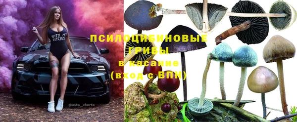 МДПВ Лихославль