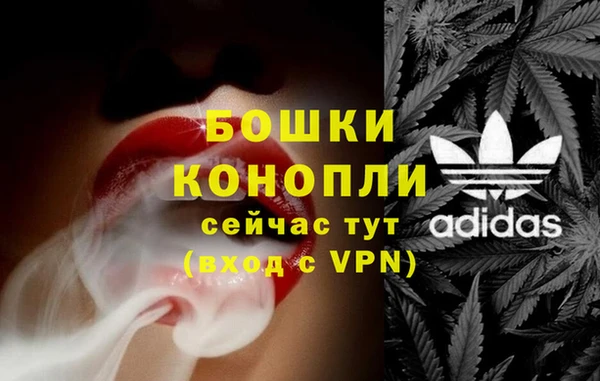 МДПВ Липки
