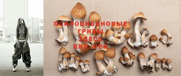 МДПВ Липки