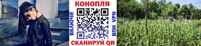 Купить  Пудож  Бошки Шишки конопля 